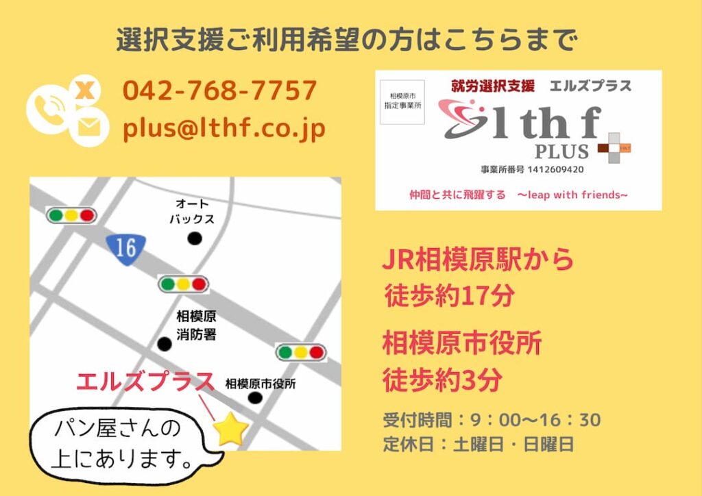 エルズプラス 説明